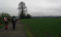 Na horyzoncie Lipa Napoleona opodal Olbersdorfu.jpg