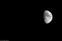 moon_11.12.2013.jpg